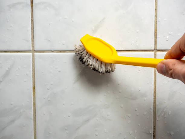 Best Black Mold Remediation in Berea, SC